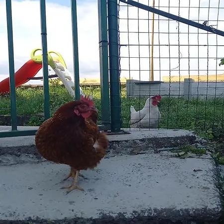 Beautiful Tagliolo Lejlighed